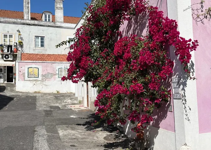Lejlighed Casa Cor De Rosa *