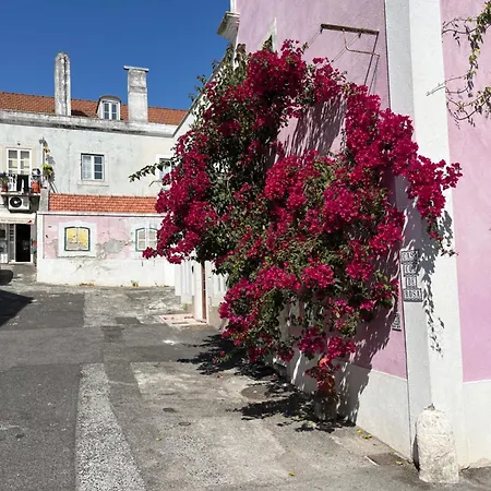 アパート Casa Cor De Rosa *